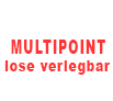 NaviMultipoint